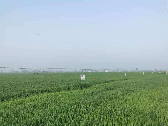 延津县节水“新质生产力” 助力春季灌溉