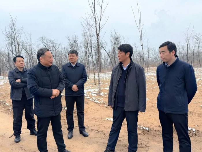 许万银调研指导春季国土绿化工作