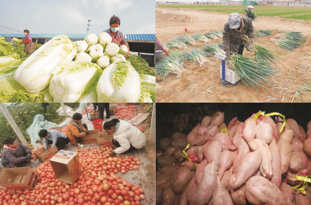 微信图片_20221206211226.png 微信图片_20221206211226.png